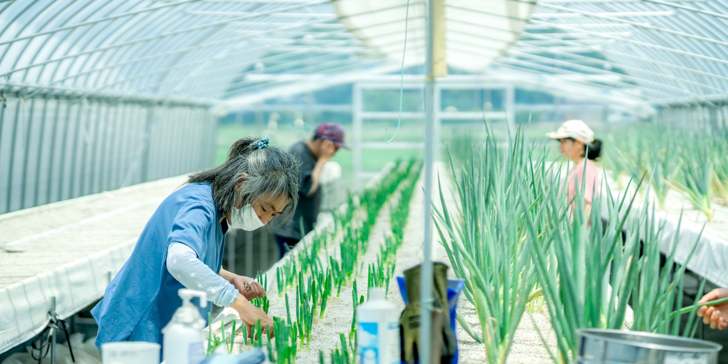 就労継続支援B型