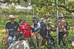 くだもの狩り（9月）