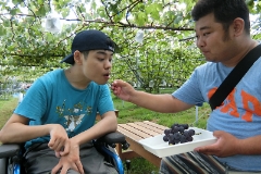 くだもの狩り（9月）