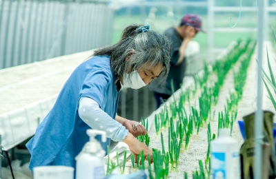 就労継続支援B型